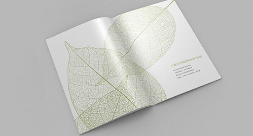 福州品牌設(shè)計(jì)策劃與軟件開發(fā) 古柏廣告設(shè)計(jì)的整合之道